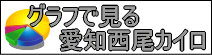 グラフで見る愛知西尾カイロ整体